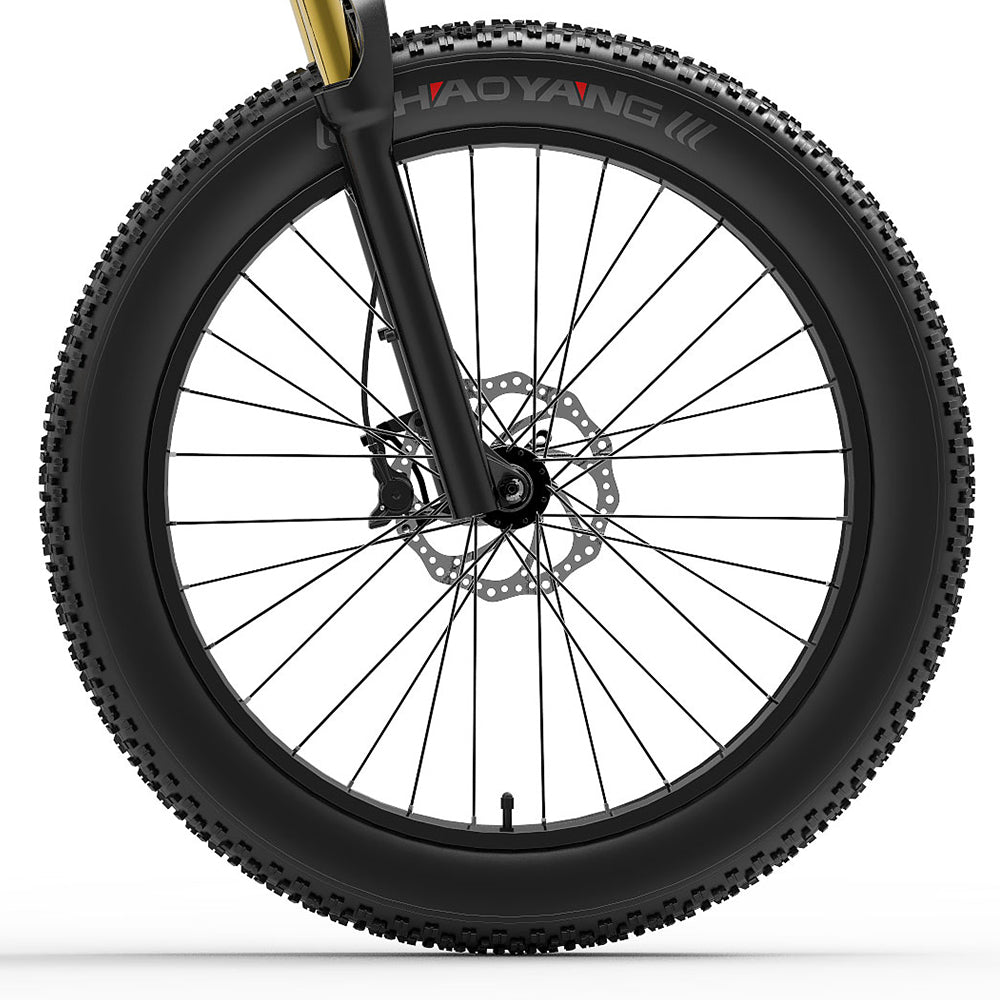 Bezior X PLUS Bicycle Original Front and Rear Wheel Without Tires